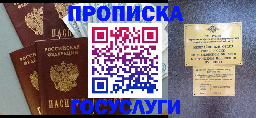 прописка гарантия в Ершове